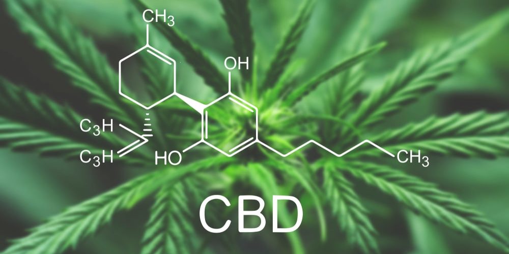 blog_cbd