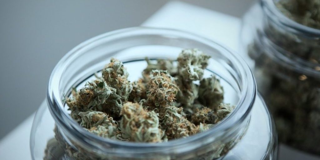 How to Keep Cannabis Fresh