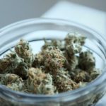 How to Keep Cannabis Fresh