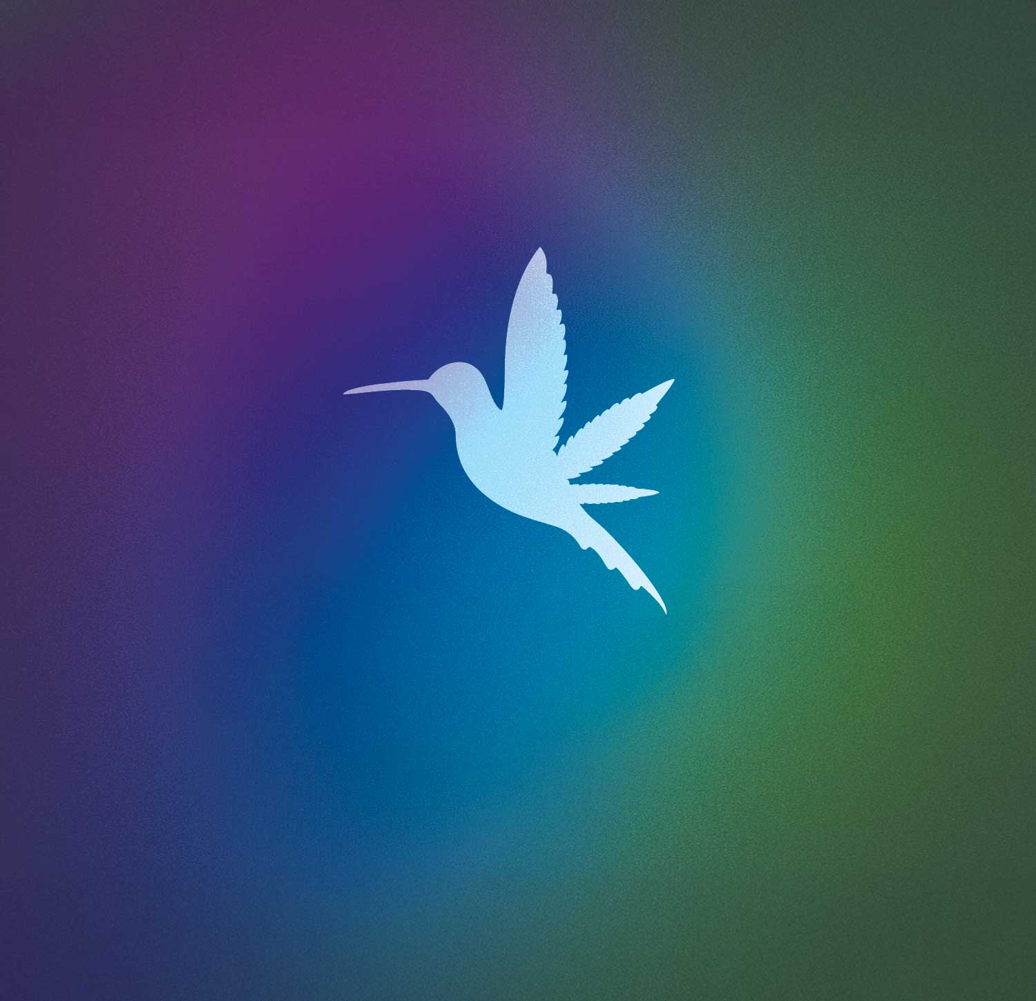 Rewards bird logo